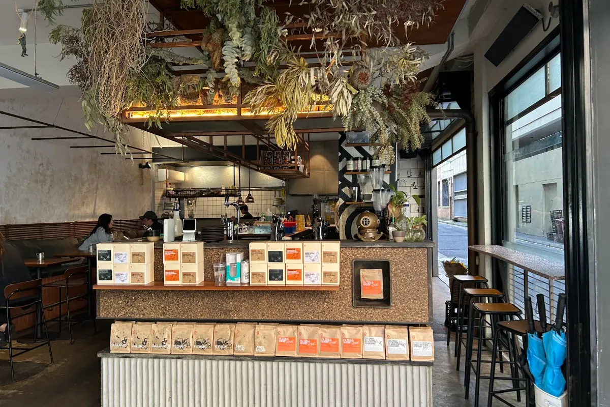 Single O Surry Hills thumbnail 9