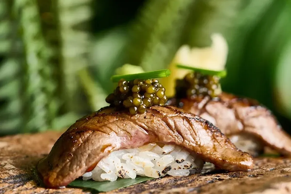 Amazónico thumbnail 4