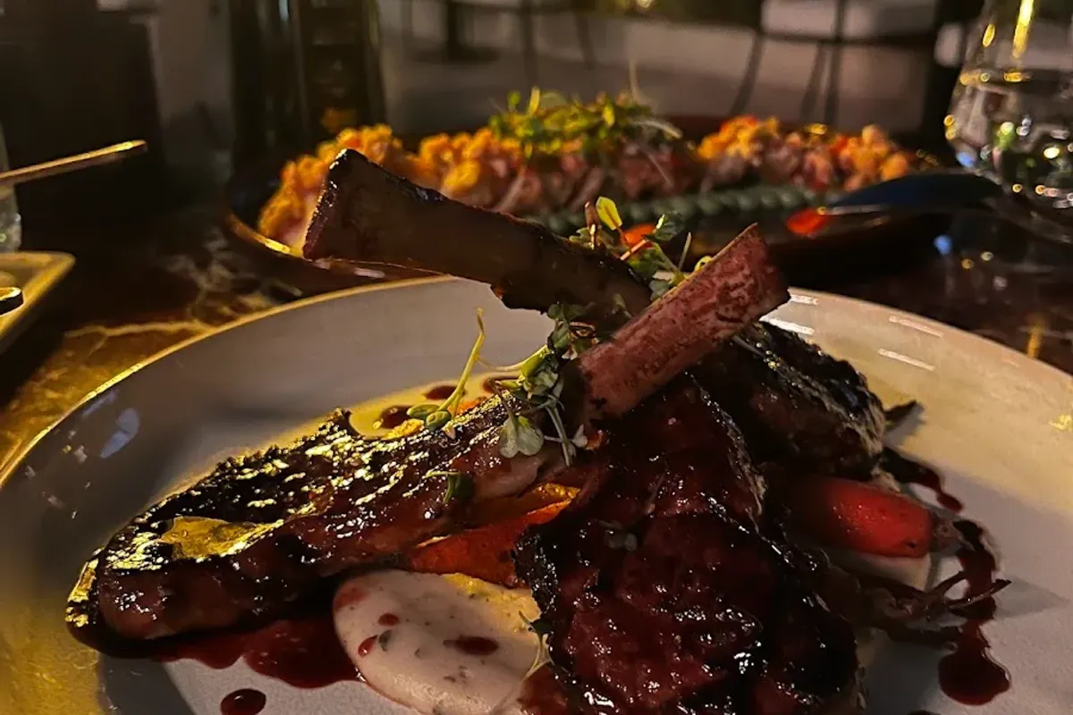 TATEL Dubai thumbnail 6