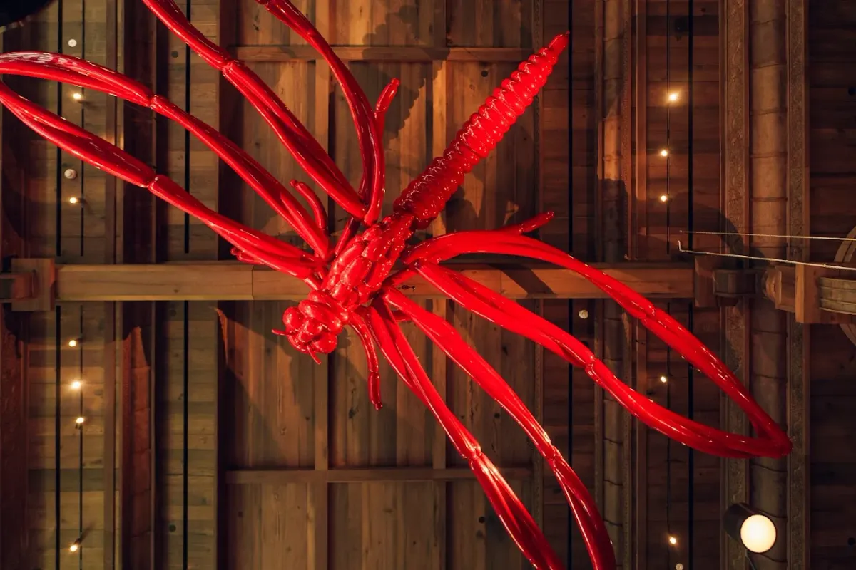 Dragonfly thumbnail 5