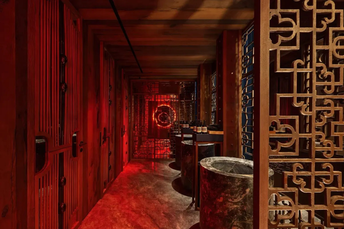 Dragonfly thumbnail 6